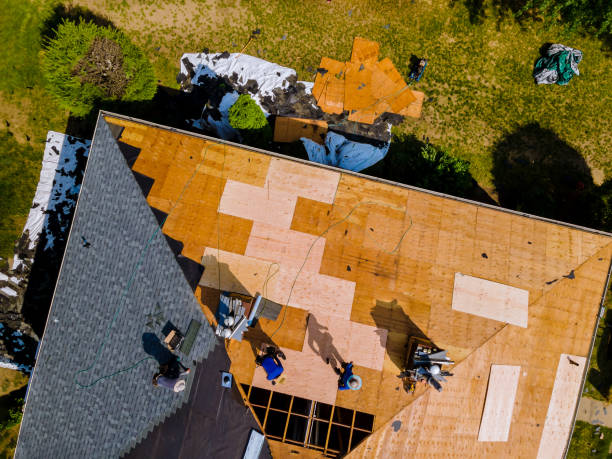 Best Storm Damage Roof Repair  in Centre, AL